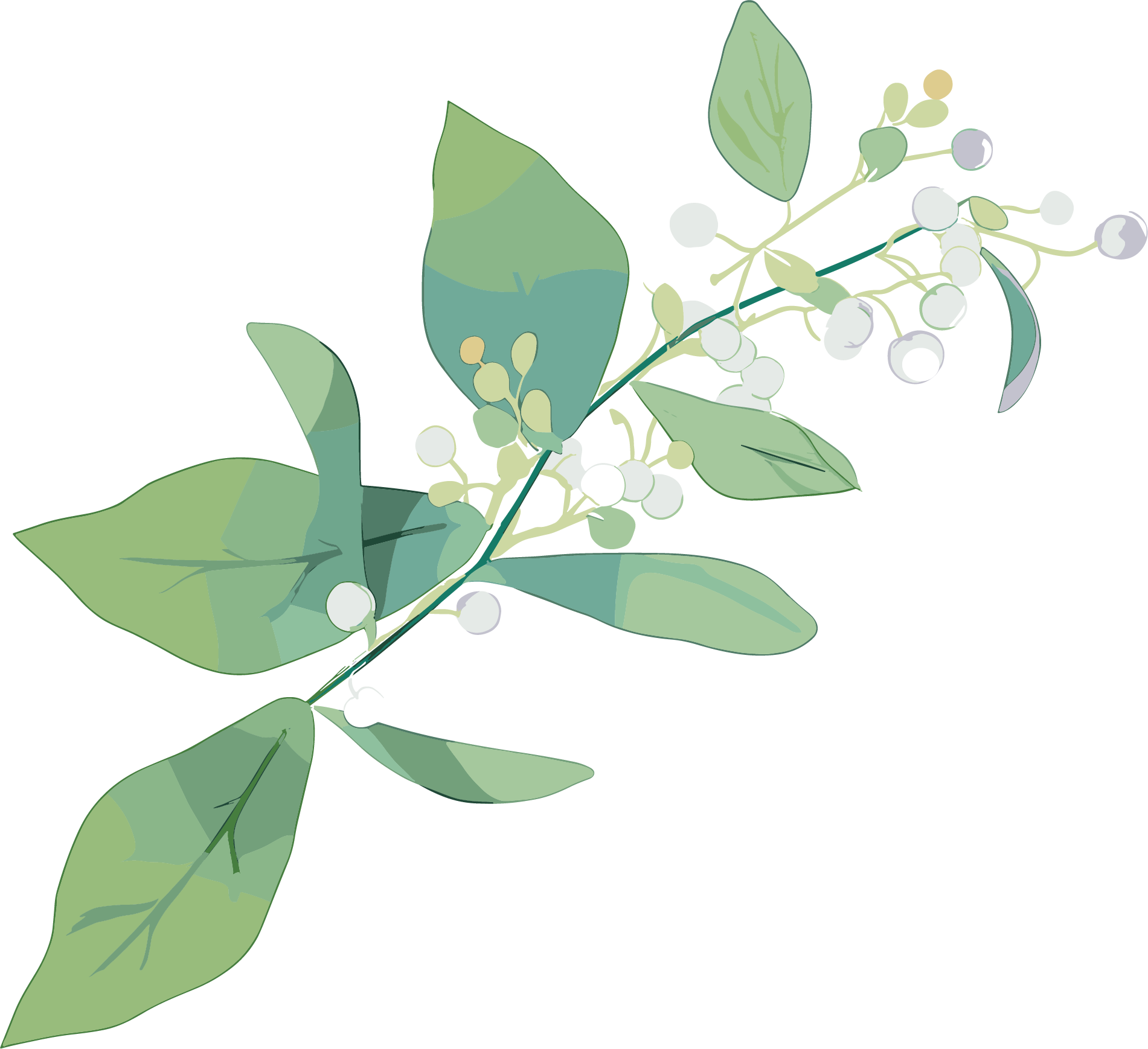 Watercolor plant commercial design materials
