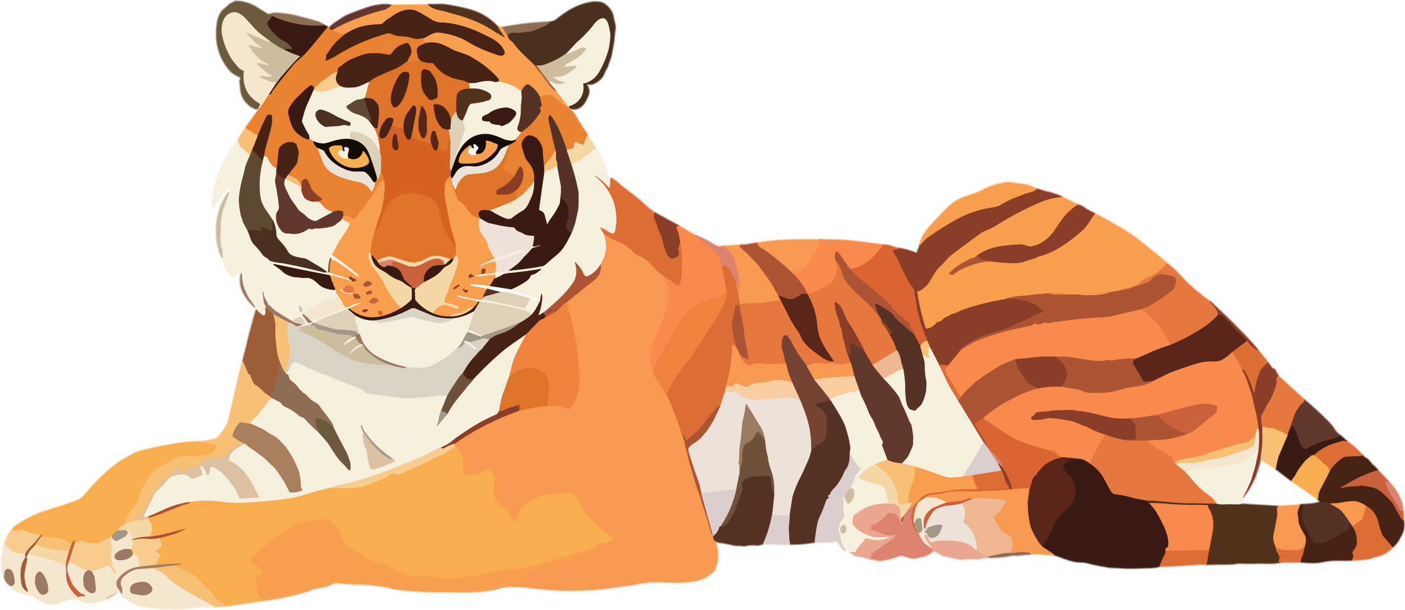 Tiger Rare Animal Illustration