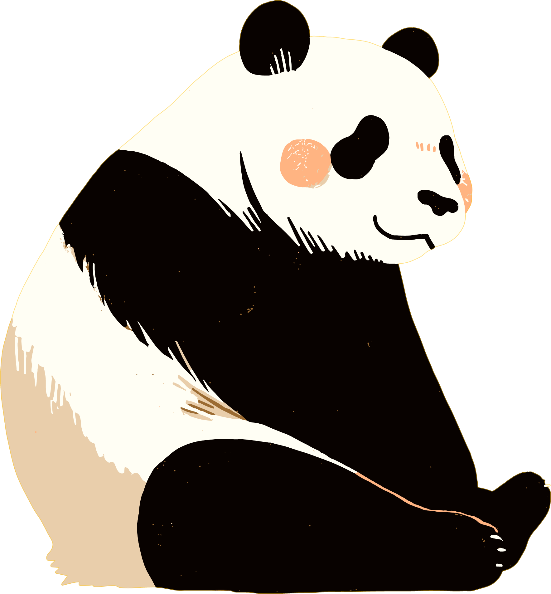 Panda Rare Animal Illustration