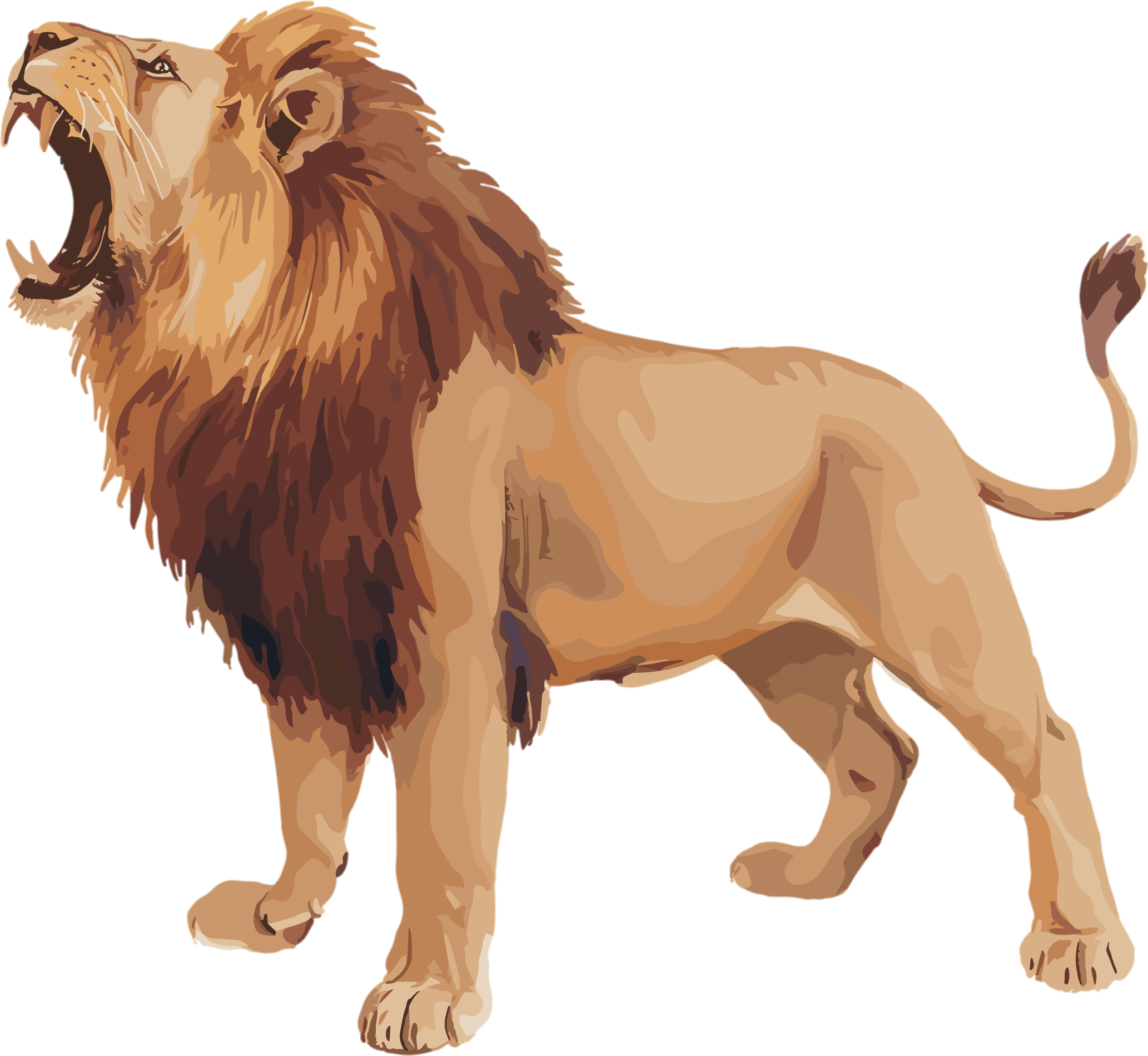 Lion Rare Animal Illustration