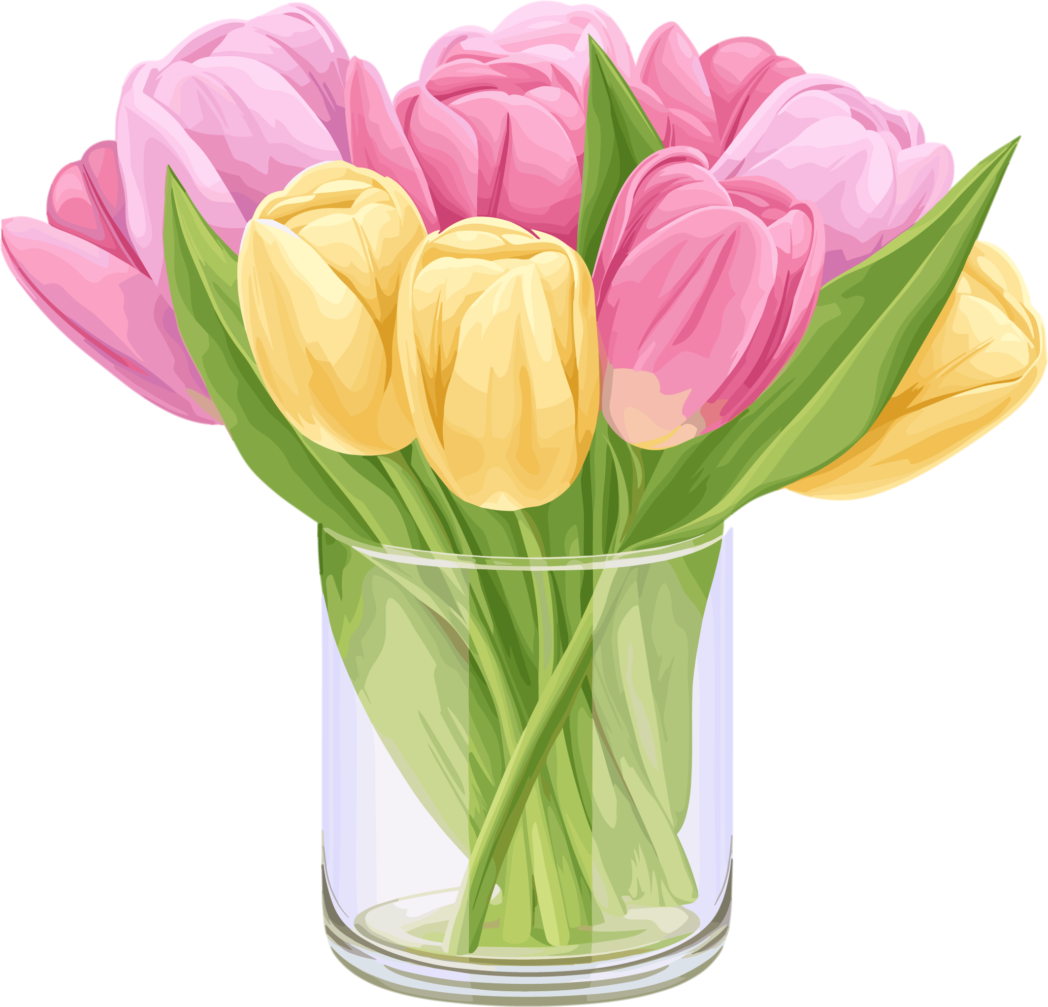 Vase Commercial Illustration