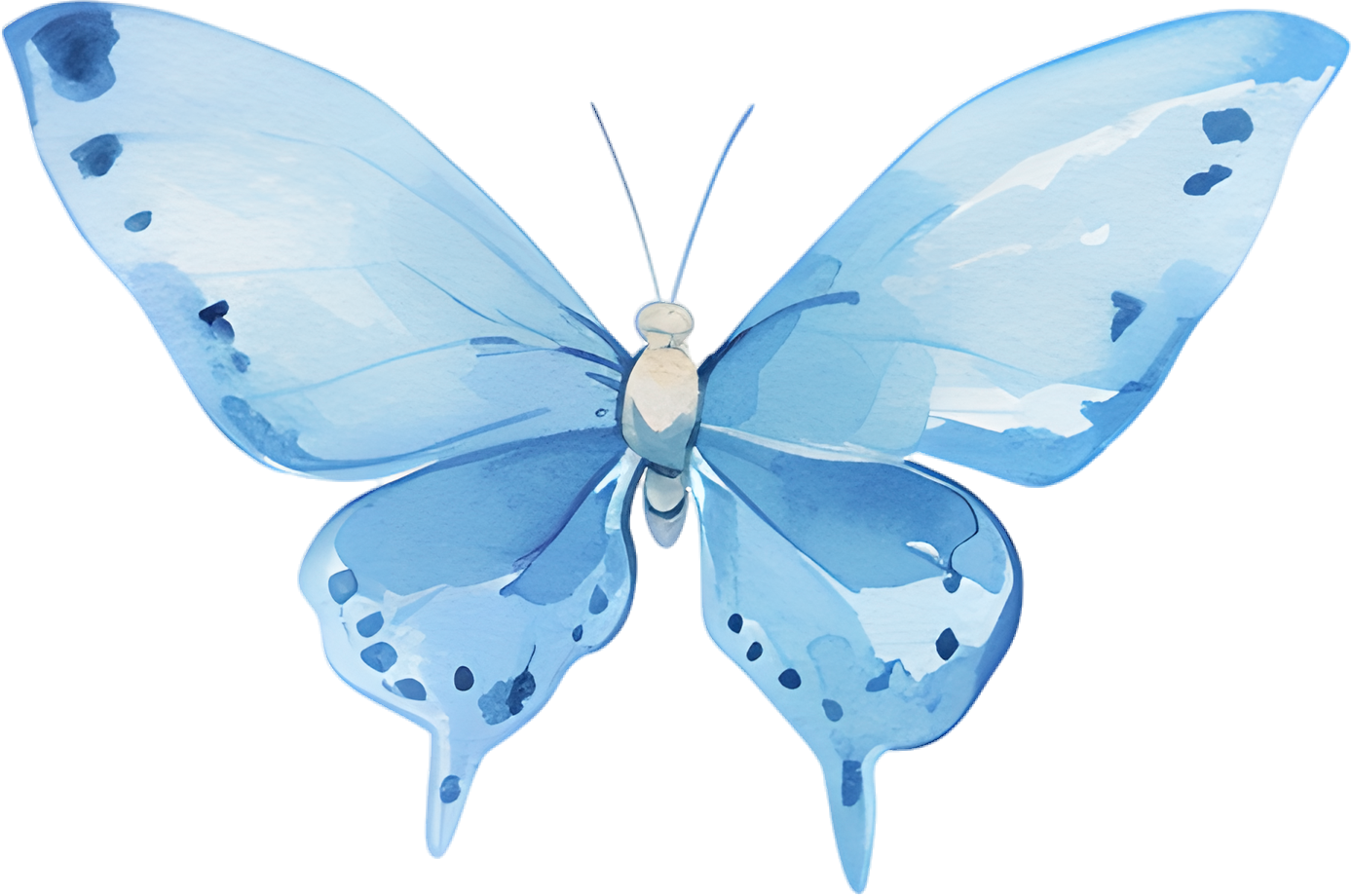 High-definition watercolor butterfly illustration