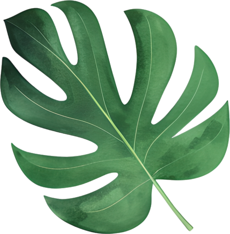 Watercolor leaves commercial use material