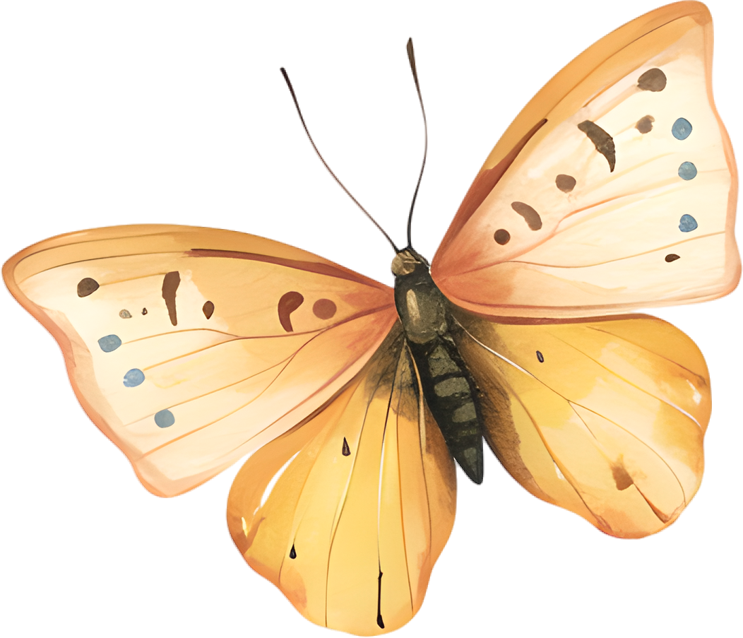 Beautiful watercolor butterfly素材