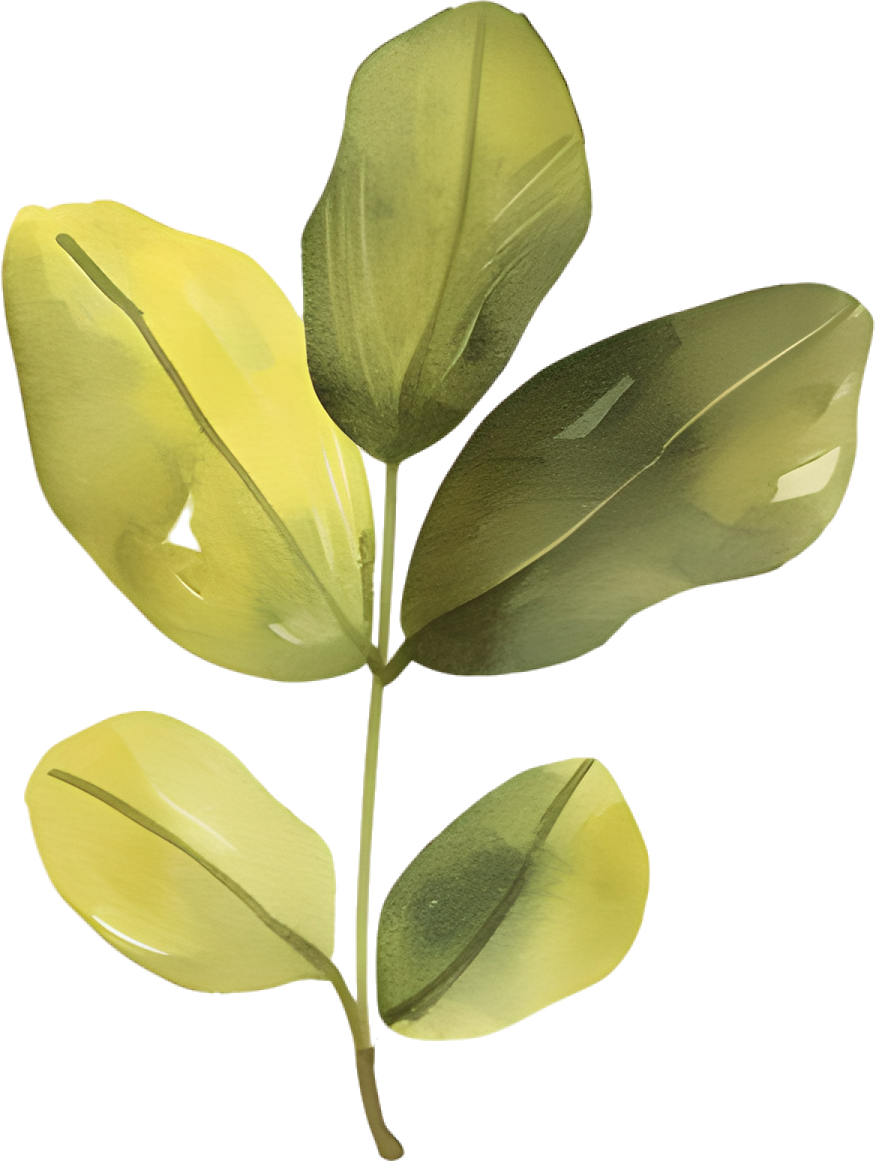 Watercolor Leaf Artistic Illustration