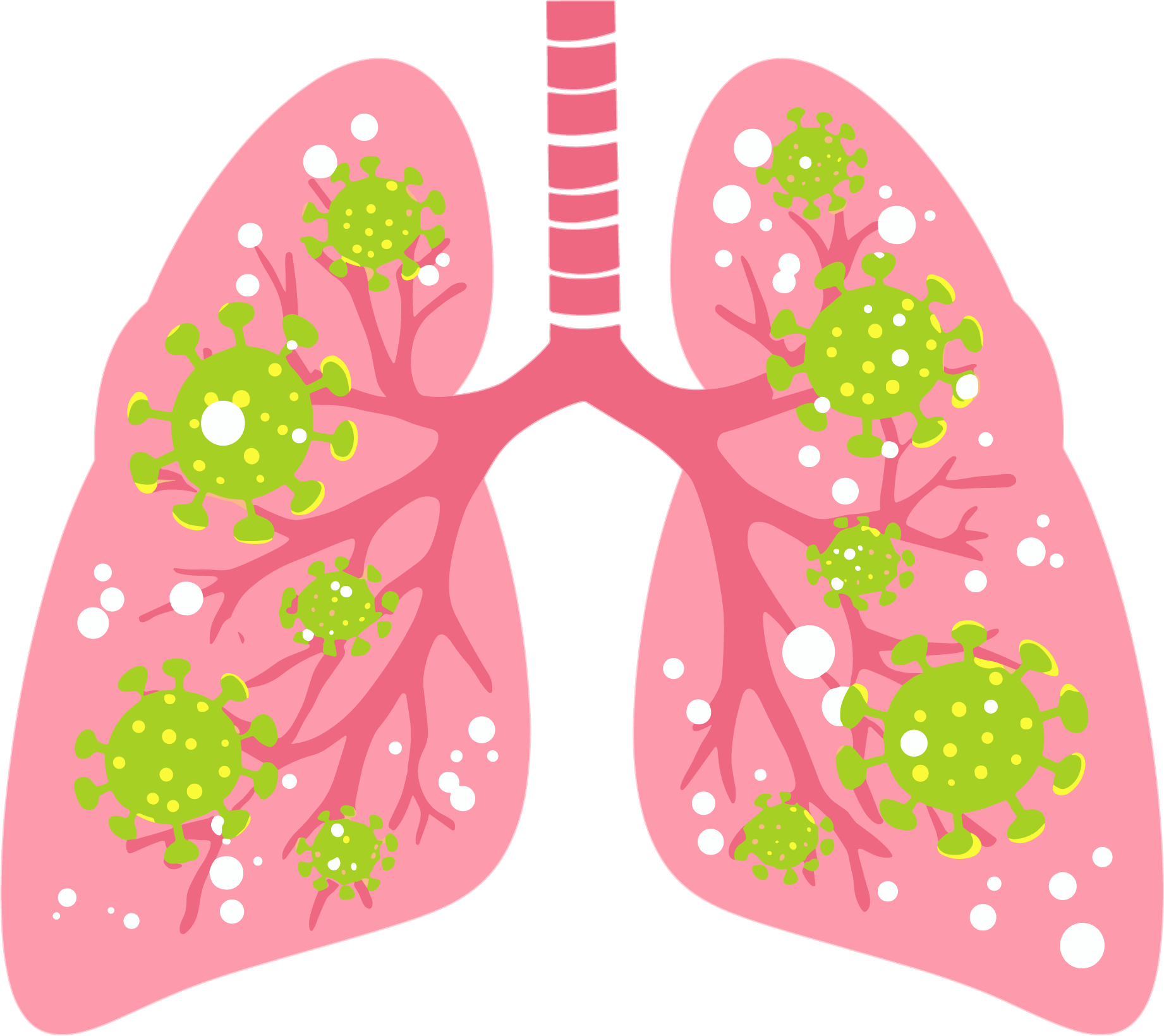 Lung Bacteria Commercial Design Material