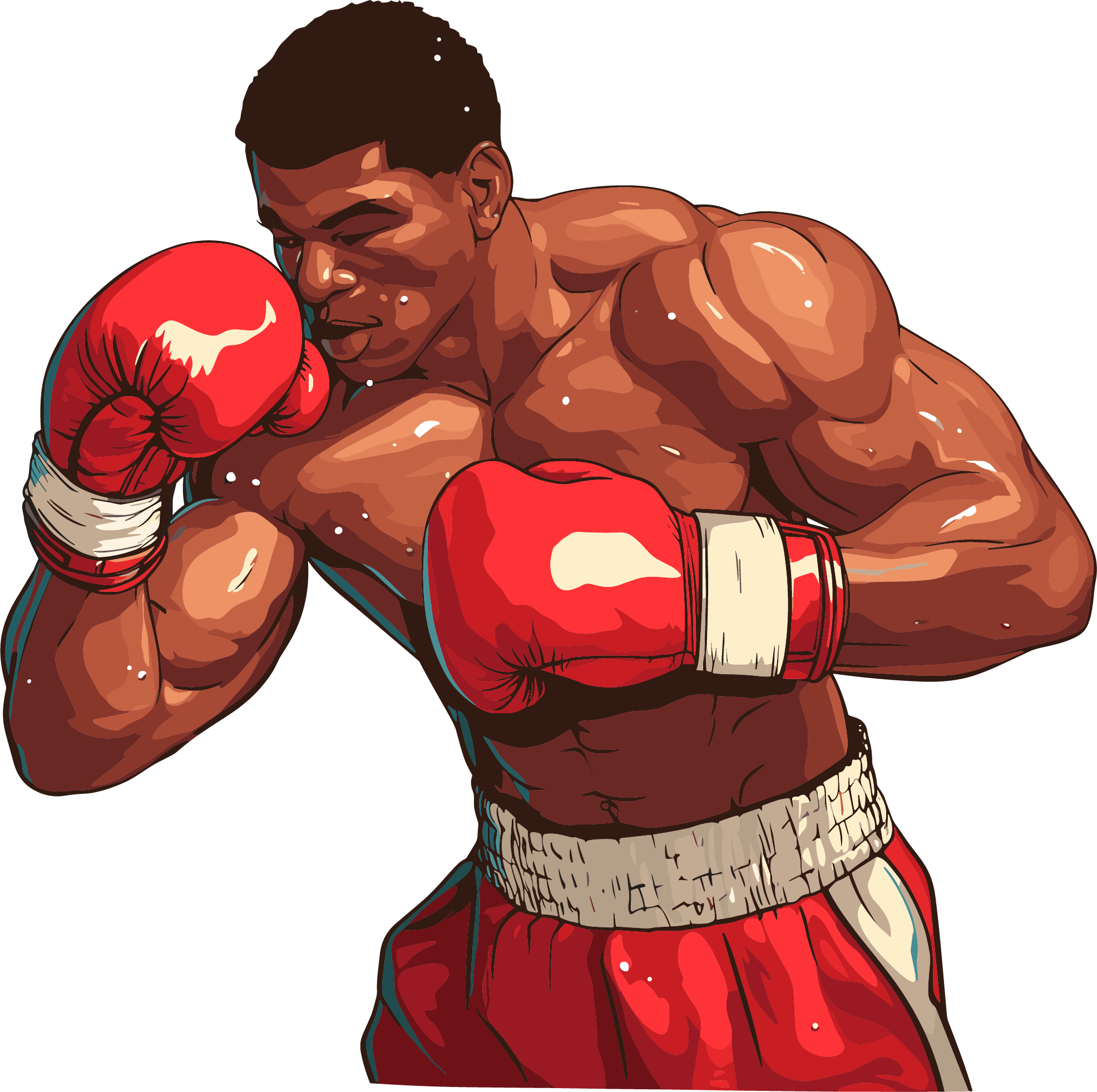 Boxer competition illustration