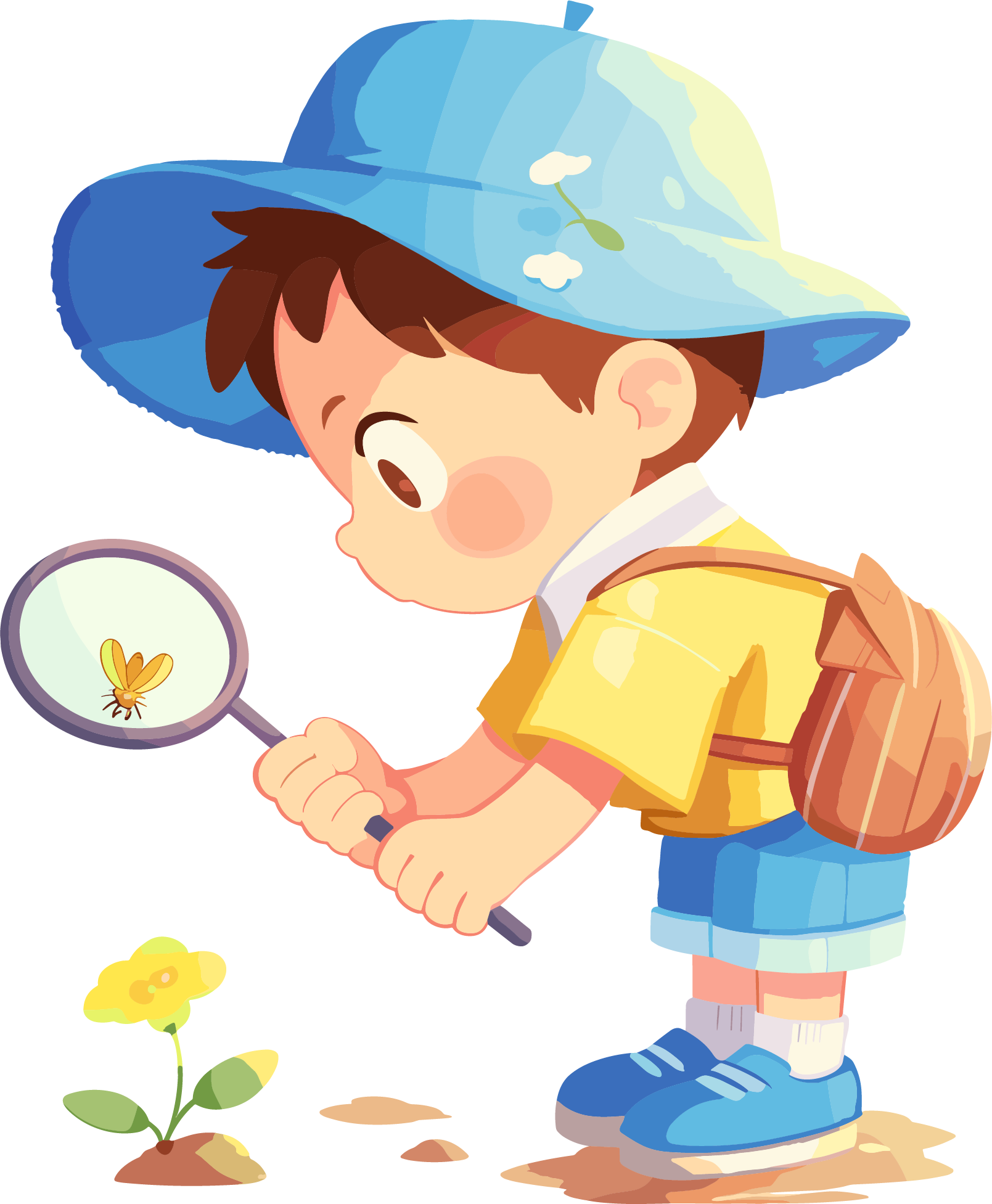 Observing insects for commercial illustrations