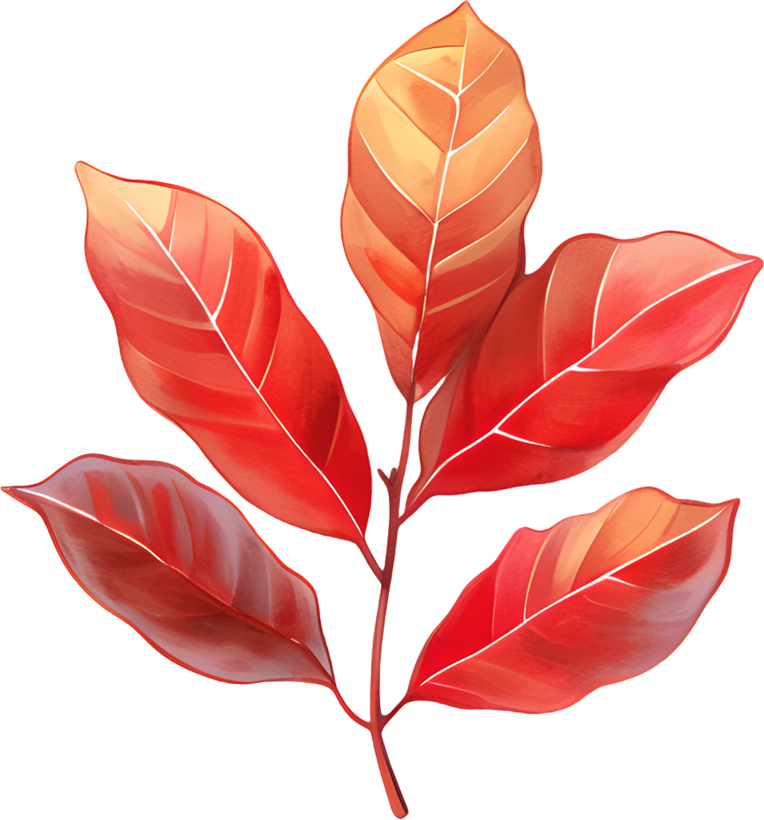 Illustration of autumn leaves