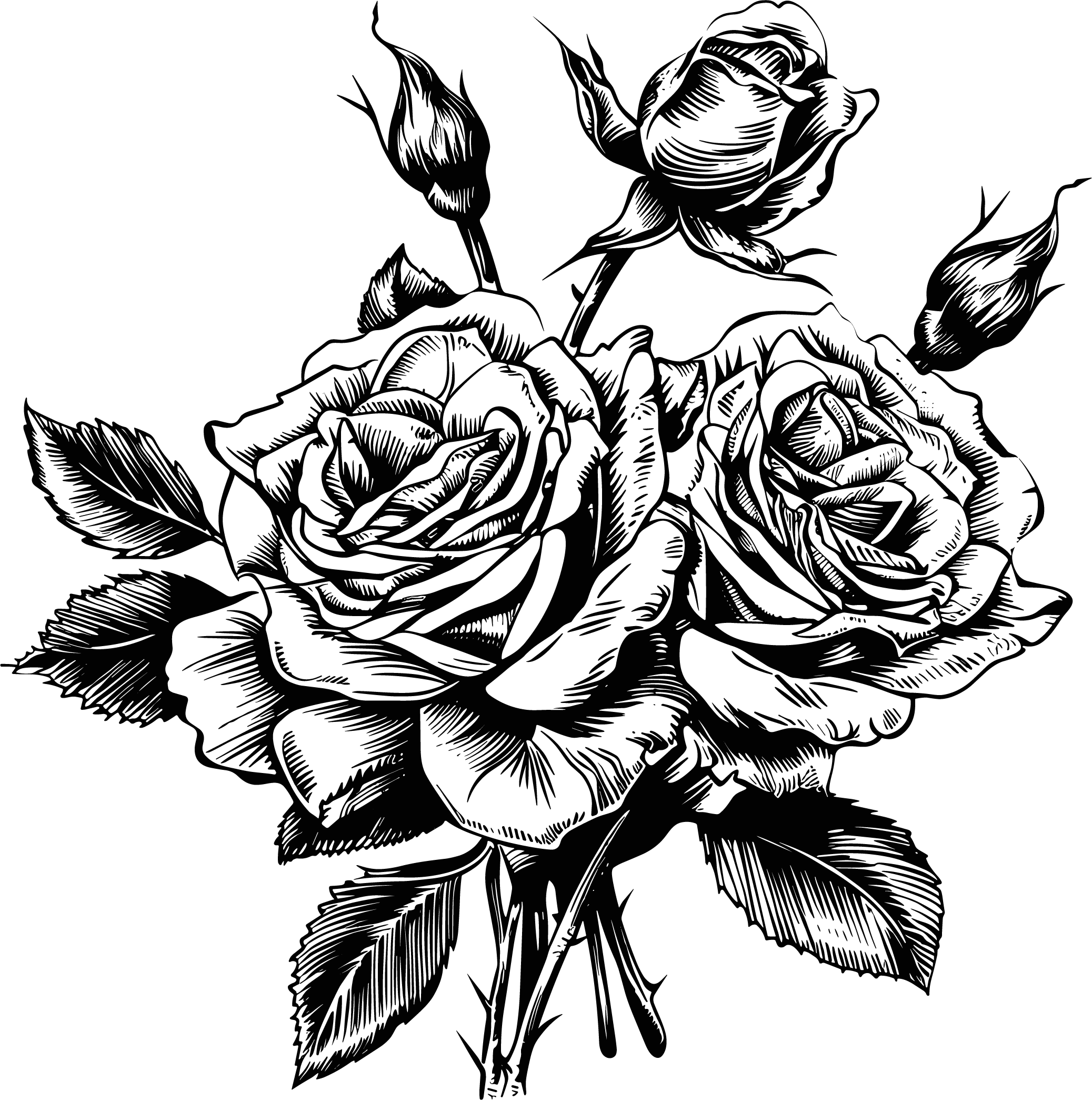 Rose flower sketch illustration design