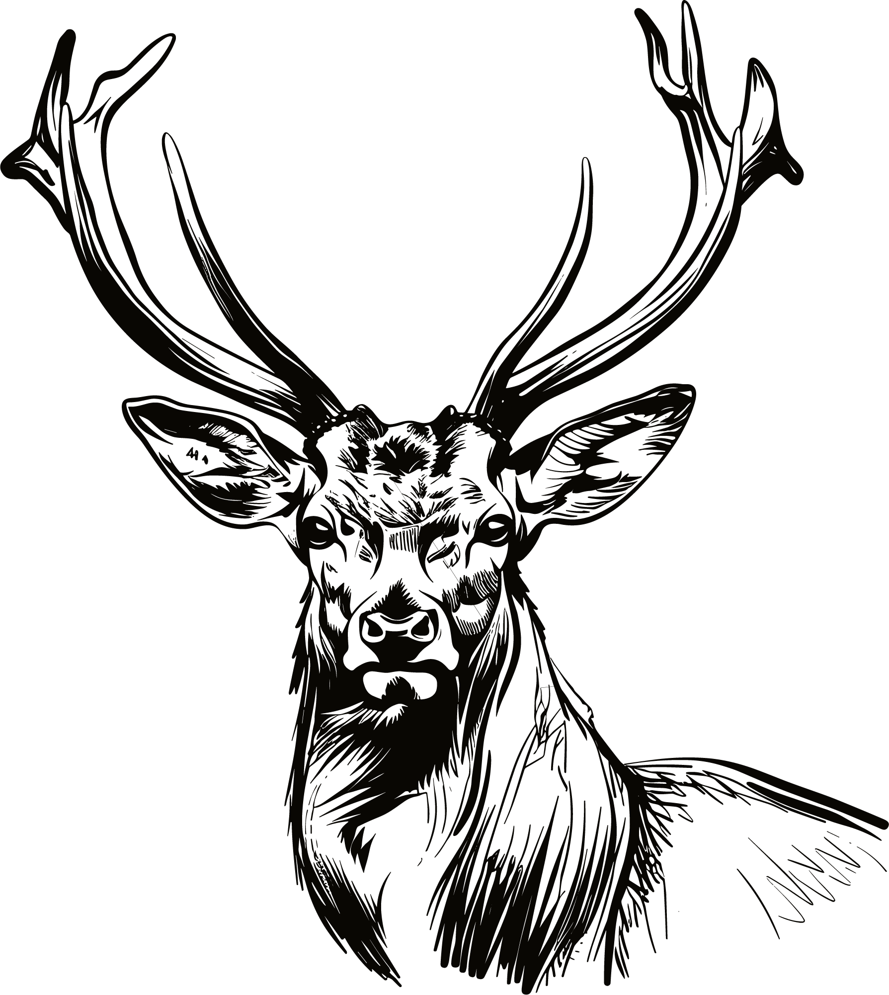 Elk Sketch Elements