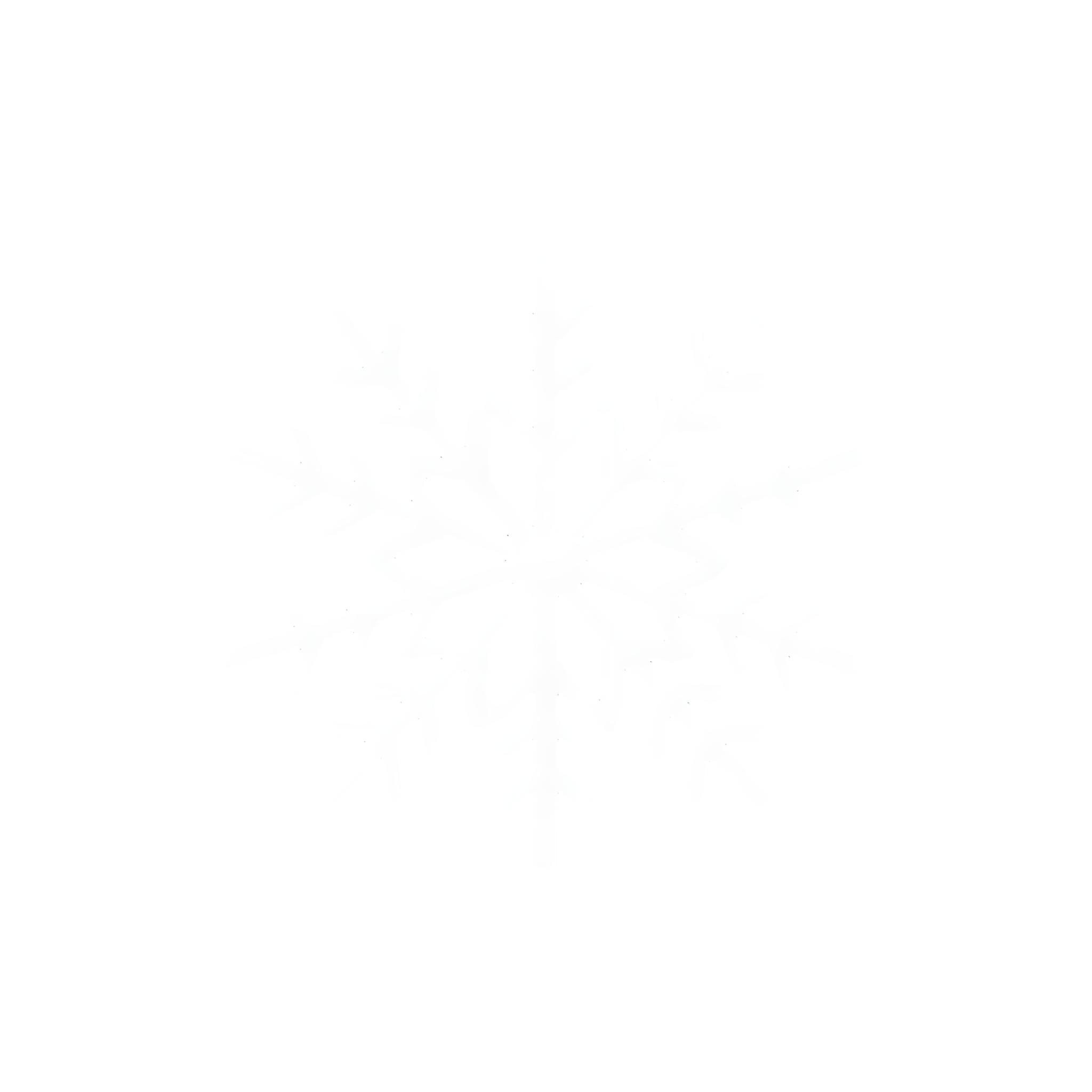 Snowflake Commercial Illustration