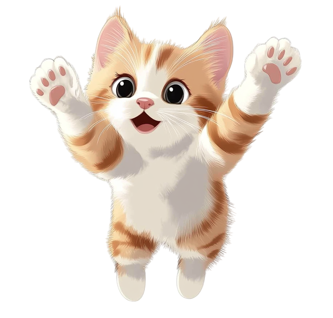 Cat playing materials
