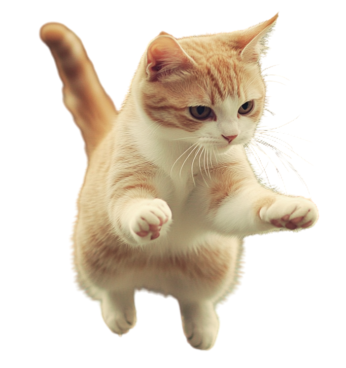 Cat Jumping Element
