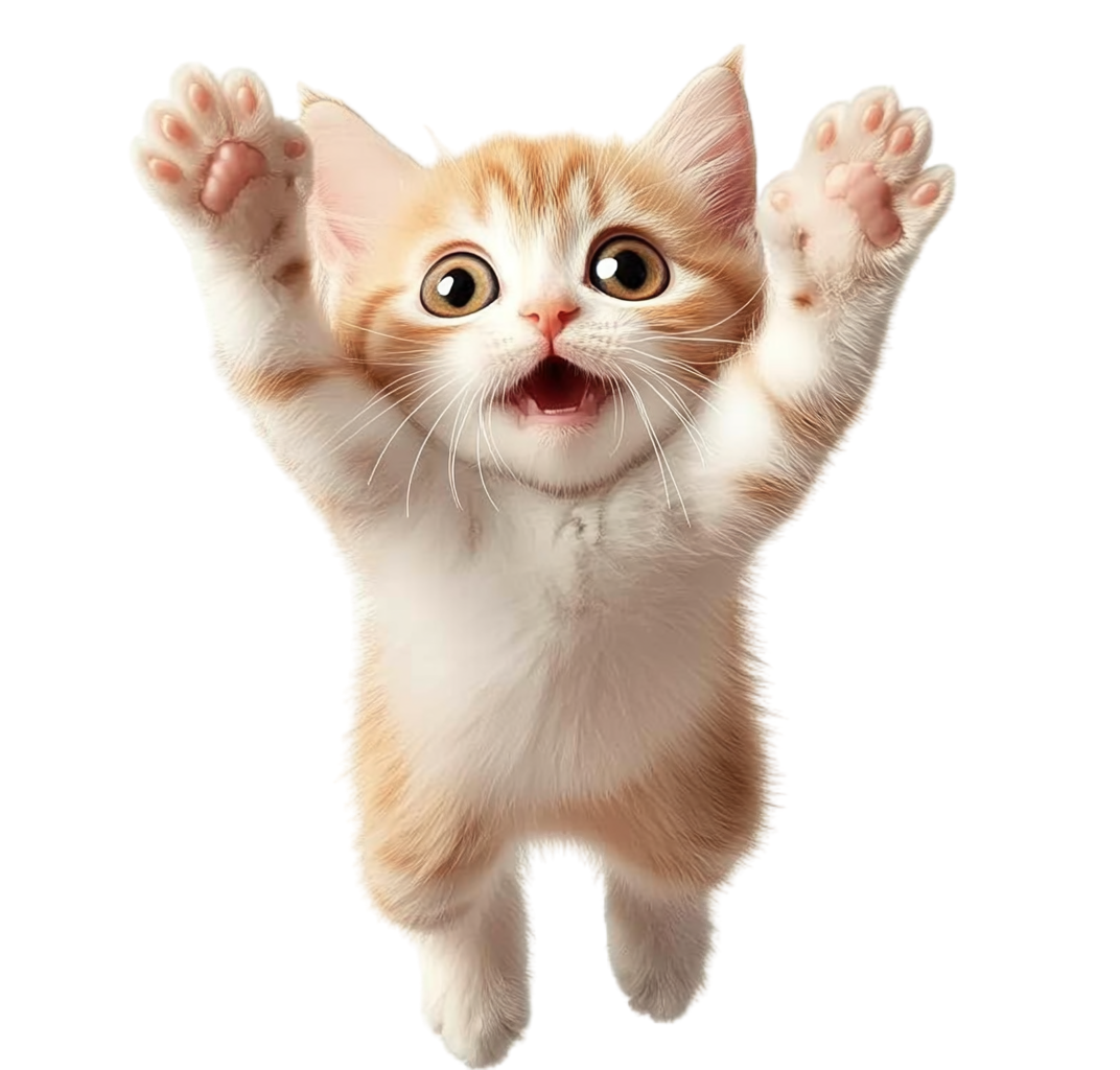Cat Playing Illustration