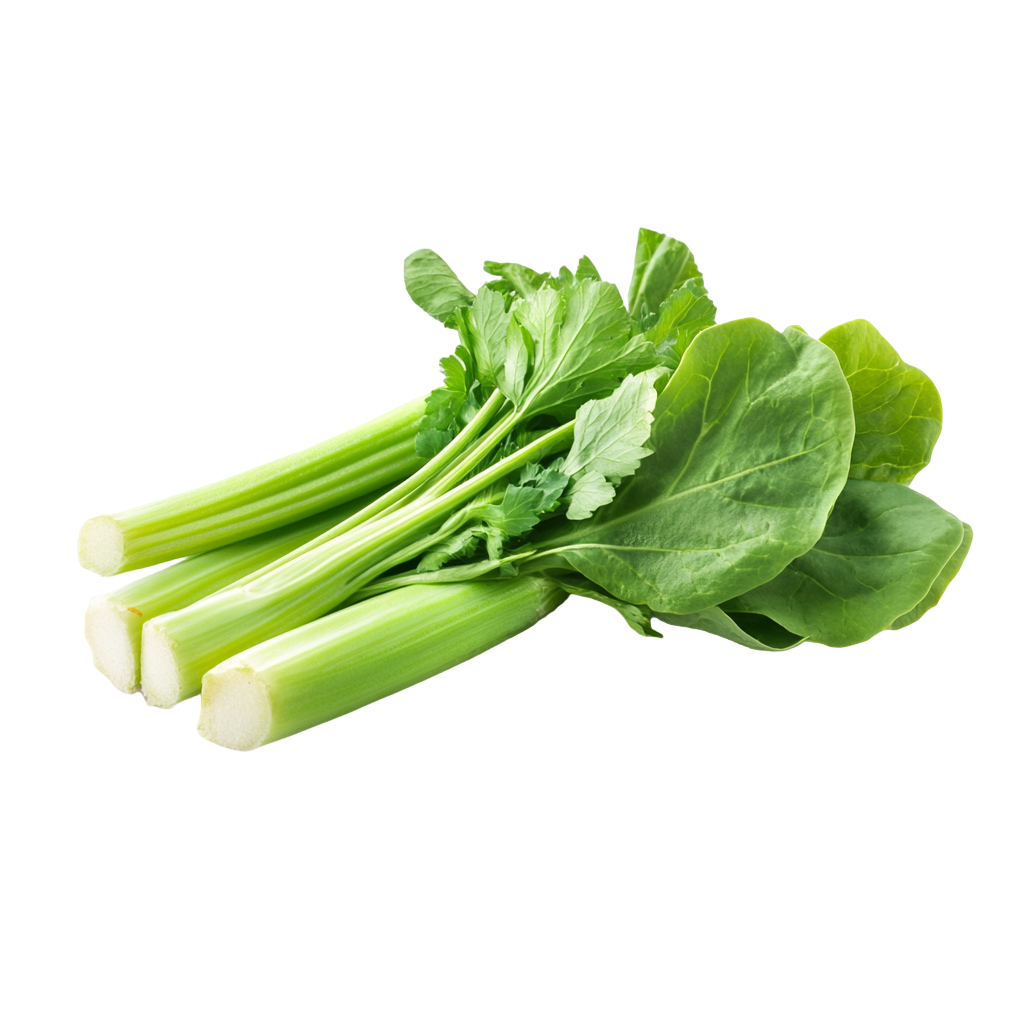 Seasonal Vegetable Illustration