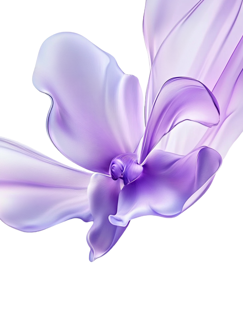 Purple orchid silk material element