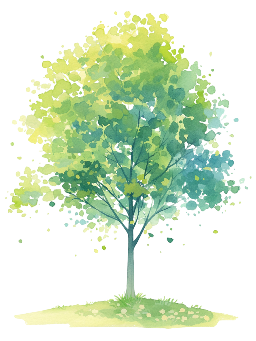 Watercolor tree illustration