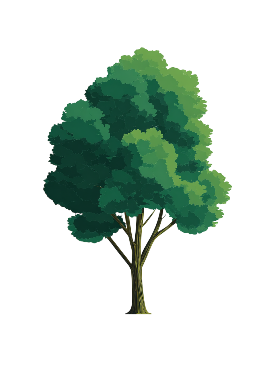 Flat illustration of trees