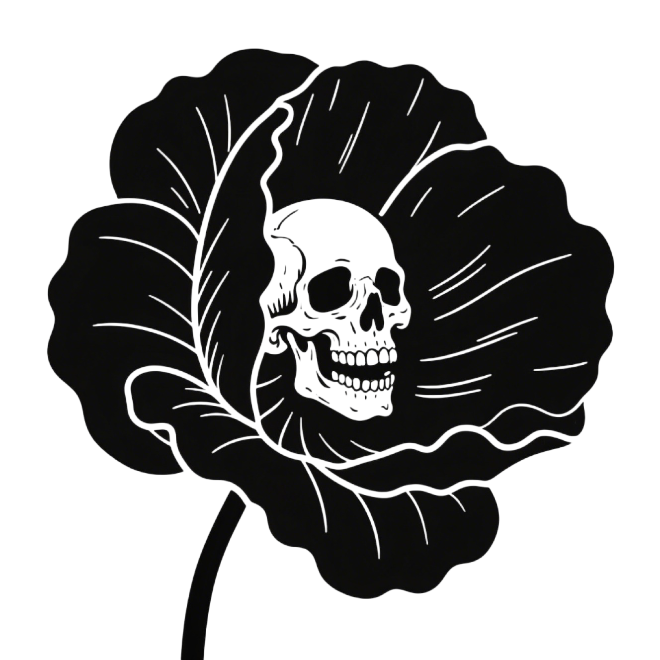 Poppy flower skull material